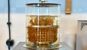 A commercial iced tea brewing machine.